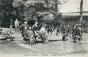 Mailly: SHEEP DIPPING, FRANCE