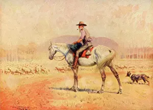 Drover: Sheep drover in Australia