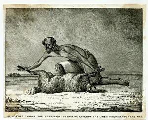 Pull: The Sheep-Eater of Hindustan