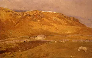 Coutts: A Sheep Farm in the Duddon