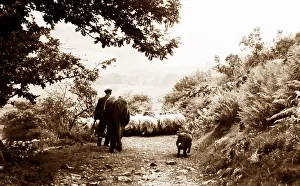 Swaledale: Sheep farmer in Swaledale in the 1940s