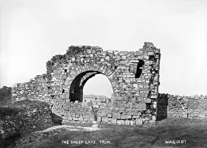 Stump: The Sheep Gate, Trim
