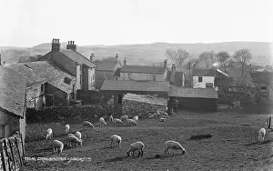 Grassington: Sheep Grazing in Grassington