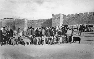 Herod: Sheep market at Herod's Gate, Jerusalem