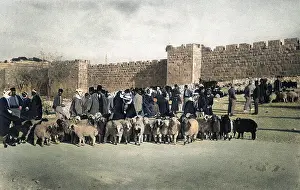 Herod: Sheep market at Herod's Gate, Jerusalem
