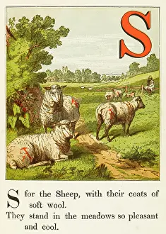 Tended: SHEEP AND SHEPHERD 1867