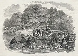 Dipping: SHEEP-WASHING 1846