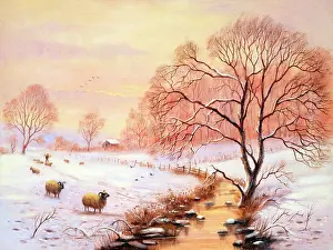 The Kevin Walsh Nostalgia Collection: Sheep in winter landscape