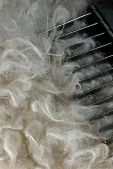 Ariege: Sheepskin and comb, workshop, Laines Paysannes