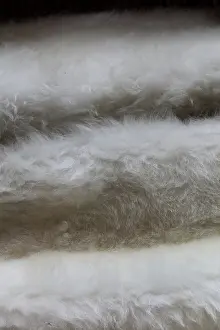 Ariege: Sheepskin, workshop, Laines Paysannes, Ariege, France