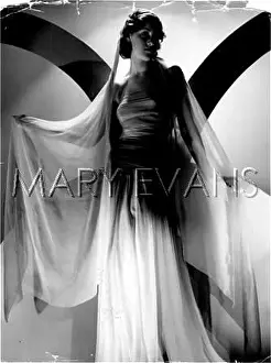Floaty: SHEER EVENING GOWN