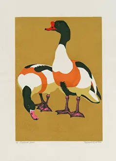 Linocut: Shelduck pair