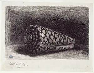 2eme: The Shell