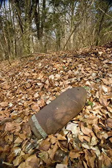 Unexploded: Shell in the woods of Verdun