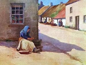 Cromarty: SHELLING MUSSELS/1906