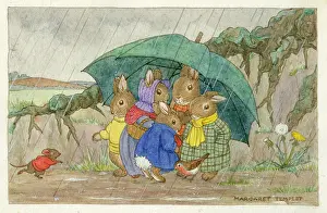 Sheltering: Shelter from the Rain ? five rabbits