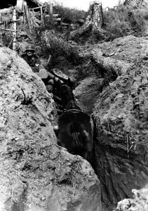 Elle: Shelter trench on the Eastern Front, 1943