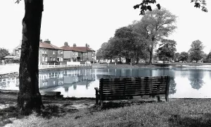 Shenfield: Shenfield, the Common c1965