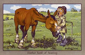 Deafness: Shepherd bellows into horse's ear