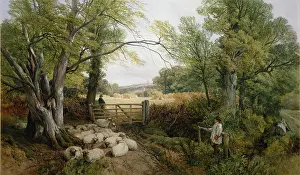 Hulme: The Shepherd Boy ' with his flock of sheep