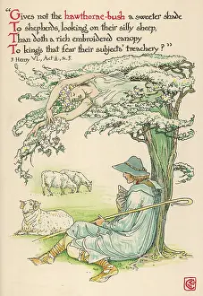 Fearing: SHEPHERD (CRANE)