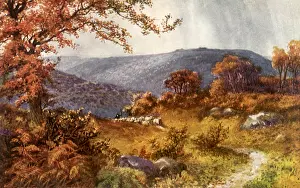 Herdsman: Shepherd on the Moor