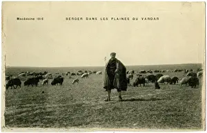 Vardar: Shepherd on the Plains of Vardar, Macedonia - WW1 era