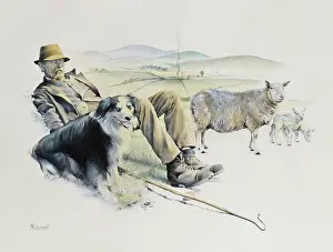 Contentedly: Shepherd at rest