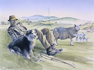 Contentedly: A shepherd resting