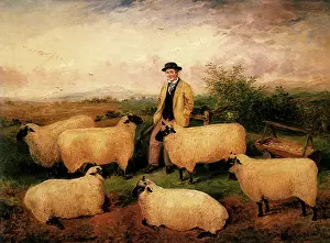Holt: Shepherd and His Sheep