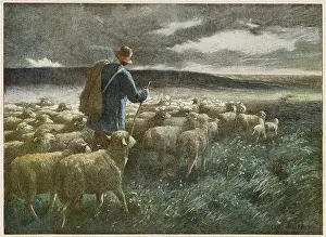 Soaked: SHEPHERD AND STORM