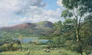 Ullswater: The Shepherd – Ullswater