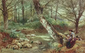 Myles: The Shepherdess ' in woodland