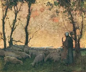 Shepherding: Shepherding The Flock