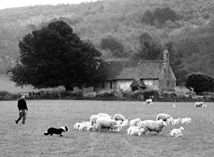 Chevis: Shepherds church