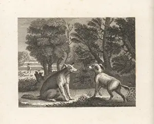 John Wootton: The Shepherd's Dog and the Wolf