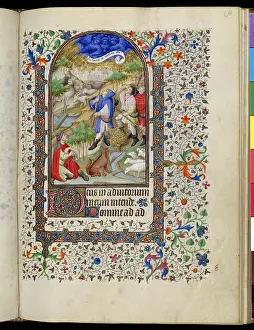 Velllum: Shepherds in the Fields