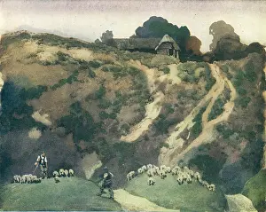 Blamire: Shepherds Hollow