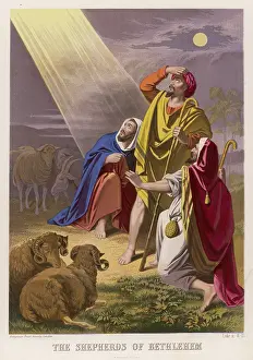Informed: SHEPHERDS INFORMED