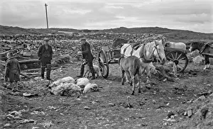Uist: Shepherds at North Uist, Outer Hebrides, Scotland
