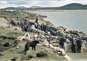 Uist: Shepherds at North Uist, Outer Hebrides, Scotland