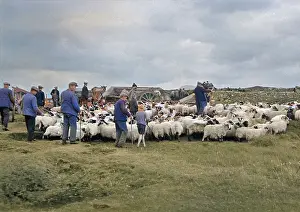 Uist: Shepherds at North Uist, Outer Hebrides, Scotland