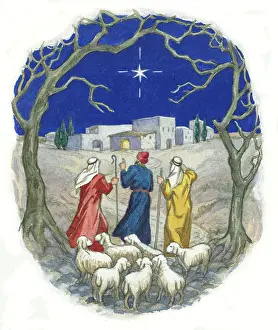 Strangers: shepherds with sheep lookiing over to the star