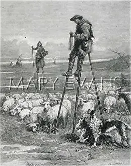 Landes: SHEPHERDS ON STILTS