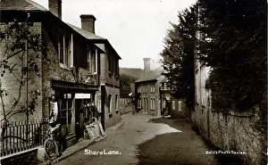 Shere: Shere Lane, Shere, Guildford, England