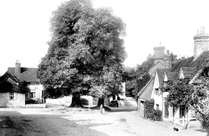 Shere: Shere, the Village 1903