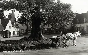 Shere: Shere Village, Surrey