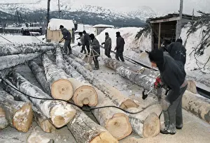 Logs: Sheregesh Corrective Labour Camp