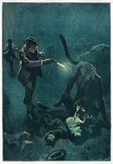 Baskerville: Sherlock Holmes - Hound - Baskerville