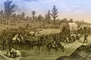 Scorched: Sherman's March to the Sea, 1864